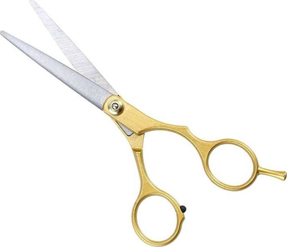 Picture of Aptel Hair Scissors Golden (Ag76b)