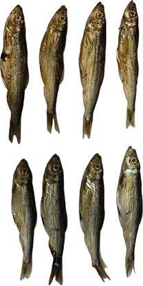 Изображение Arami ARAMI - 200g SZPROT BATYCKI SUSZONY