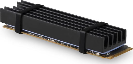 Picture of SSD ACC COOLER M.2 2280/10MM CLR-M2L10 AXAGON