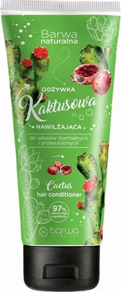 Picture of Barwa Naturalna Kaktus Nawilżająca odżywka do włosów normalnych i przesuszonych 200ml