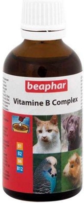 Picture of Beaphar Vitamin-B-Komplex krople 50ml