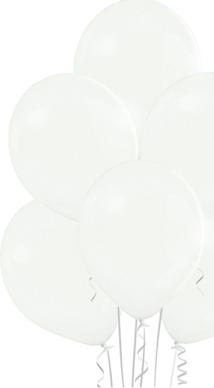 Picture of Belball Balony pastelowe Biae, B105, 30 cm, 100 szt.