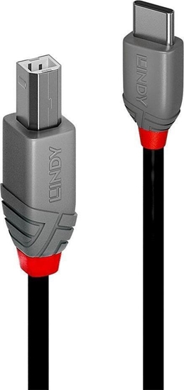 Picture of Lindy 2m USB 2.0 Type C to B Cable, Anthra Line
