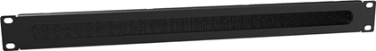 Picture of Caymon Panel szczotkowy 1U 19" (BSB01)