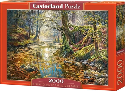 Изображение Castorland Puzzle 2000 Wspomnienie z jesiennego lasu