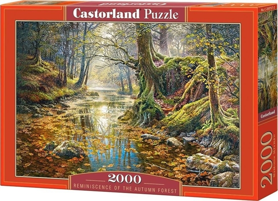 Picture of Castorland Puzzle 2000 Wspomnienie z jesiennego lasu