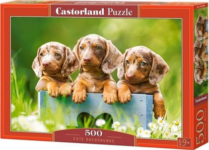 Изображение Castorland Puzzle 500 Cute Dachshunds CASTOR