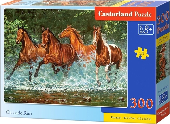 Picture of Castorland Puzzle Cascade Run