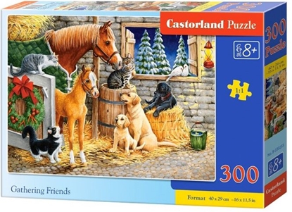 Изображение Castorland Puzzle Gathering Friends 300 elementów (241103)