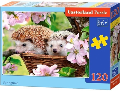 Picture of Castorland Puzzle Jeże wiosną 120 elementów (229481)
