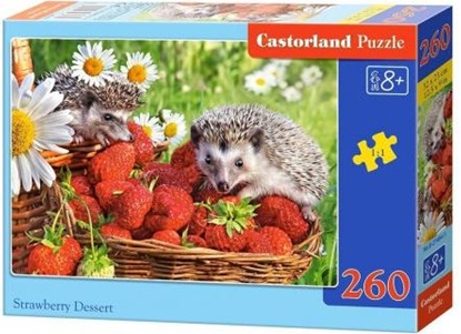 Picture of Castorland Puzzle Strawberry Dessert 260 elementów (287347)