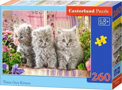 Изображение Castorland Puzzle Trzy szare kotki