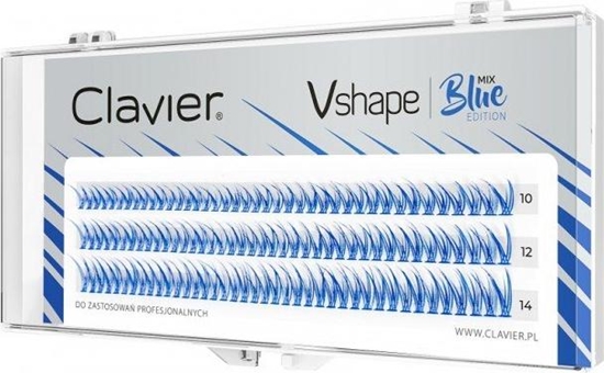 Изображение Clavier CLAVIER_Vshape kpki rzs Blue
