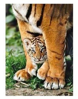 Attēls no Clementoni Puzzle 500 - Bengal Tiger Cub (275476)