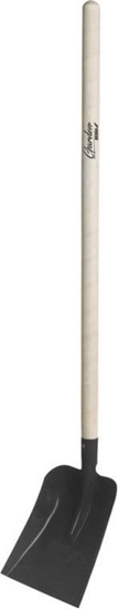 Picture of Dedra Szufla 80C011