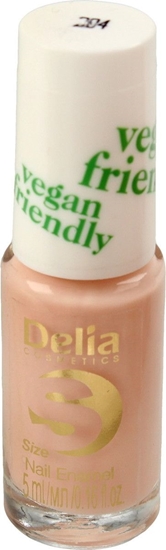 Picture of Delia Delia Cosmetics Vegan Friendly Emalia do paznokci Size S nr 204 Honey Pink 5ml