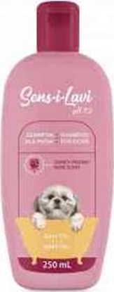 Picture of Dermapharm SENS-I-LAVI SZAMPON DLA SHIH TZU 250ml