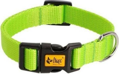 Picture of Dingo Dingo Obroa Energy 2,5/55cm Zielona