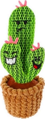 Attēls no Dingo DINGO ZABAWKA PLUSZ. KAKTUS FAMILIA 20CM