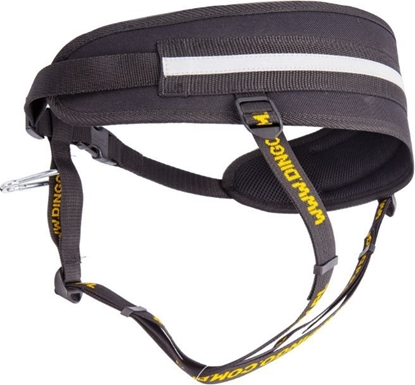 Attēls no Dingo Pas do biegania 4 w 1