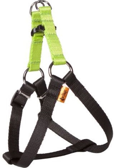 Picture of Dingo Szelki Fred "Energy" rozmiar 40 z tamy polipropylenowej - zielone