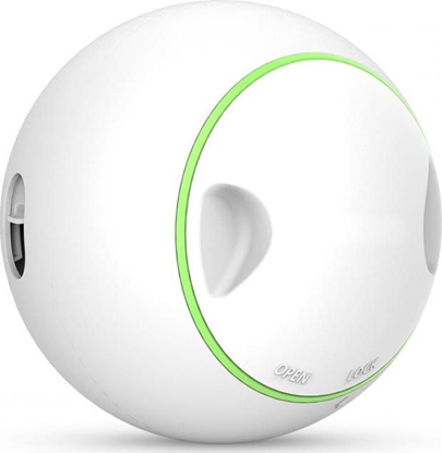 Picture of DoggyVillage Kula ze smakoykami Dogy Village MT7102 PRIZE ORB interaktywna, ruchoma + smakoyk gratis