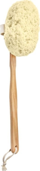 Изображение Donegal DONEGAL GBKA DO KPIELI na drewnianej rczce (6036) 1szt