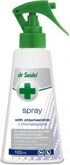 Picture of Dr Seidel Spray Z Chlorheksydyn 100ml