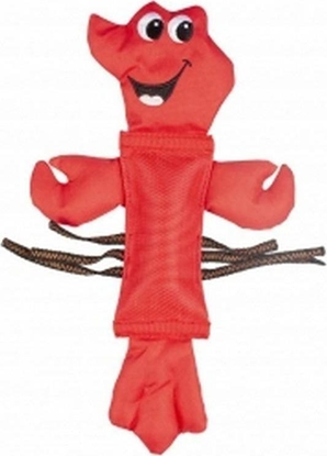 Picture of Duvo+ DUVO+ ZABAWKA GRYZAK HOMAR LOLA