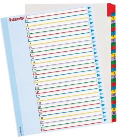 Изображение Esselte Przekadki do segregatora A4 Mylar ze stron opisow 1-31 (10K200C)