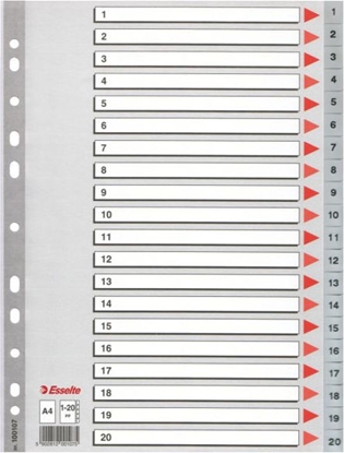 Изображение Esselte Przekadki do segregatora A4 PP szare (10K154D)