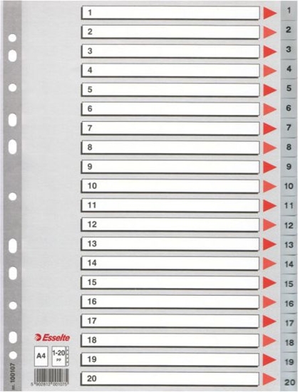 Изображение Esselte Przekadki do segregatora A4 PP szare (10K154D)