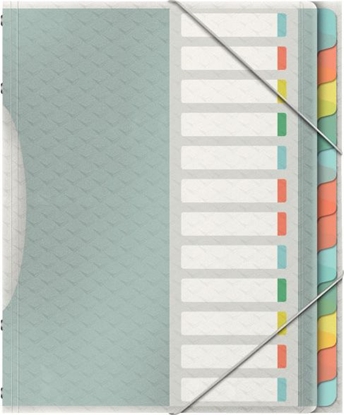 Picture of Esselte TECZKA SEGREGUJCA COLOUR`ICE 12 PRZEKADEK