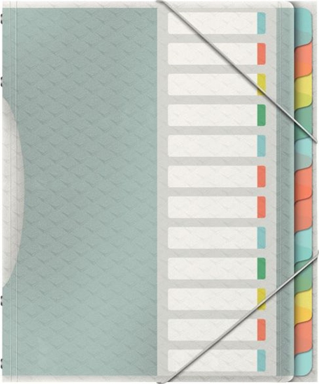 Picture of Esselte TECZKA SEGREGUJCA COLOUR`ICE 12 PRZEKADEK