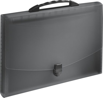 Picture of Esselte Teczka z przegródkami i rczk A4 Vivida (10K053A)