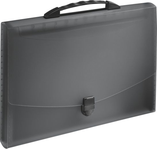 Picture of Esselte Teczka z przegródkami i rczk A4 Vivida (10K053A)