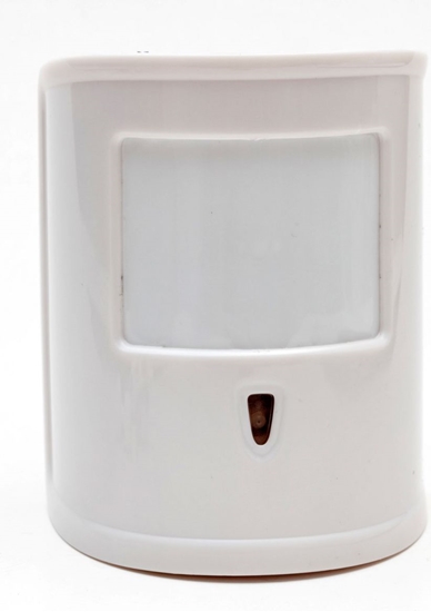 Picture of Evolveo Bezprzewodowy czujnik ruchu PIR odporny na ruch maych zwierzt (SEA ACS PIR P)