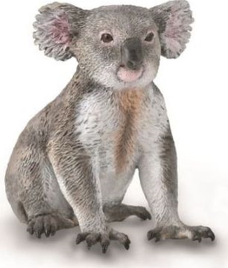 Picture of Figurka Collecta COLLECTA MIS KOALA