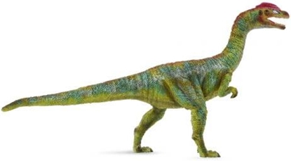 Picture of Figurka Collecta Dinozaur Liliensternus (004-88509)
