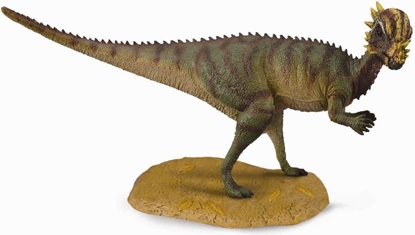 Изображение Figurka Collecta Dinozaur Pachycephalosaurus (004-88629)