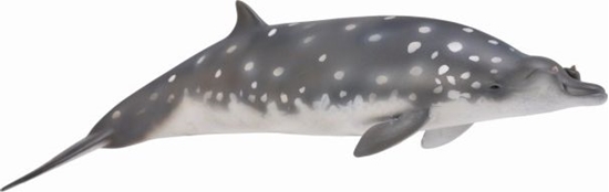 Picture of Figurka Collecta Dziobowal Zwartopyski (004-88761)