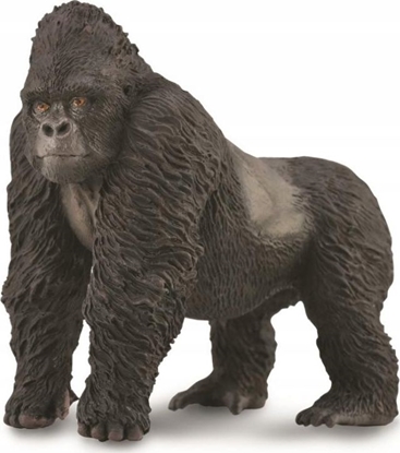 Изображение Figurka Collecta FIGURKA GORYL GÓRSKI - CollectA - 88899 - L