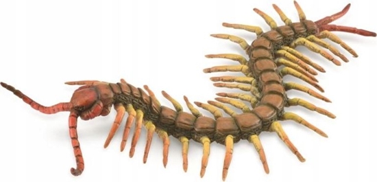 Picture of Figurka Collecta FIGURKA PARECZNIK - CENTIPEDE - CollectA - 88885 - L