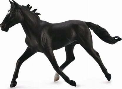Изображение Figurka Collecta KO STANDARDBRED PACER STALLIN- BLACK