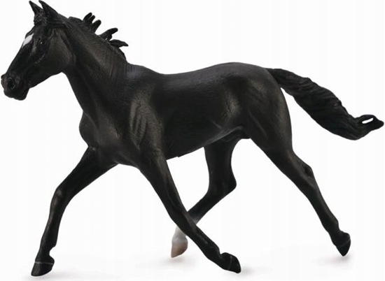 Изображение Figurka Collecta KO STANDARDBRED PACER STALLIN- BLACK