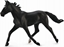 Picture of Figurka Collecta KO STANDARDBRED PACER STALLIN- BLACK