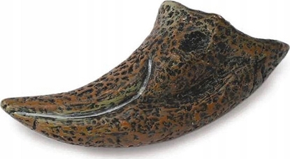 Изображение Figurka Collecta PAZUR TYRANOZAURA W PUDEKU - CollectA - 89280