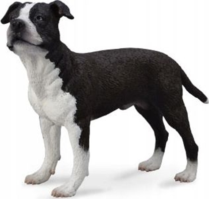 Picture of Figurka Collecta PIES AMERICAN STAFFORDSHIRE TERRIER