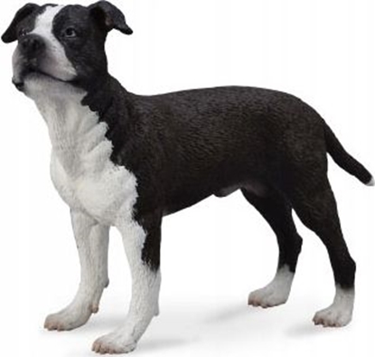 Изображение Figurka Collecta PIES AMERICAN STAFFORDSHIRE TERRIER