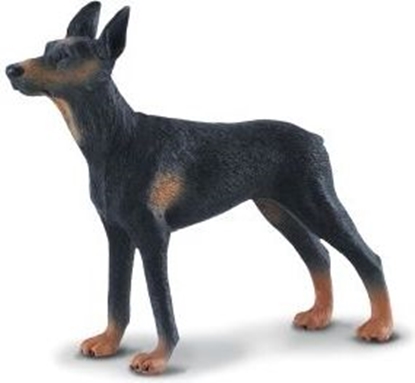 Изображение Figurka Collecta Pies Doberman (004-88086)